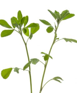 Сминдух (50 гр) 7 sminduh