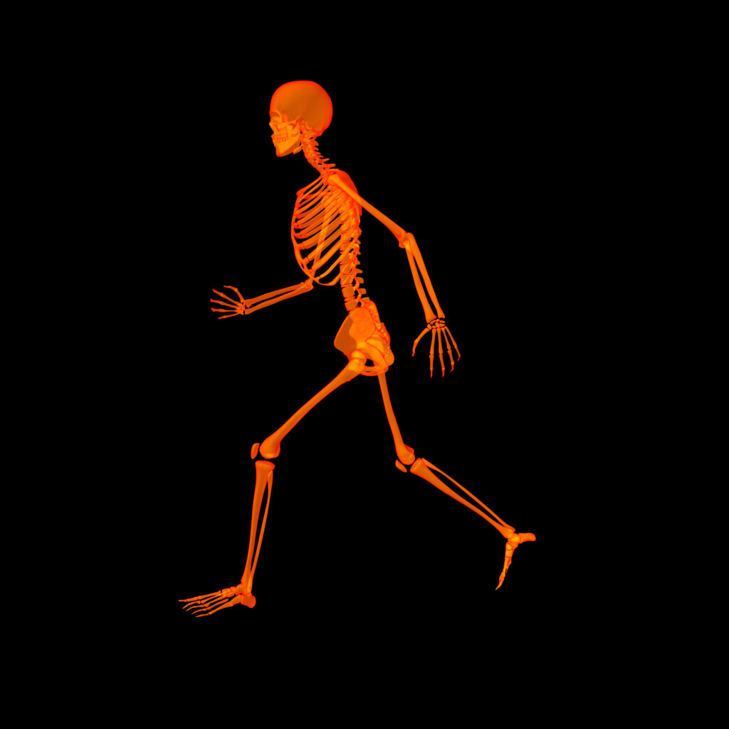 8 ползи от ходенето пеша за вашето здраве 3 walking-skeleton-by-x-rays-in-red (1)